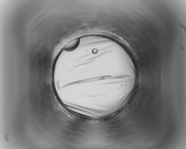 X0000101171512200807251121