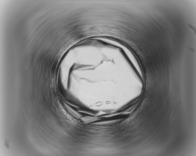X0000101171513200807251121