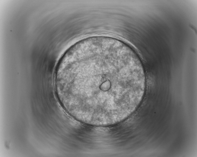 X0000101171514200807251121