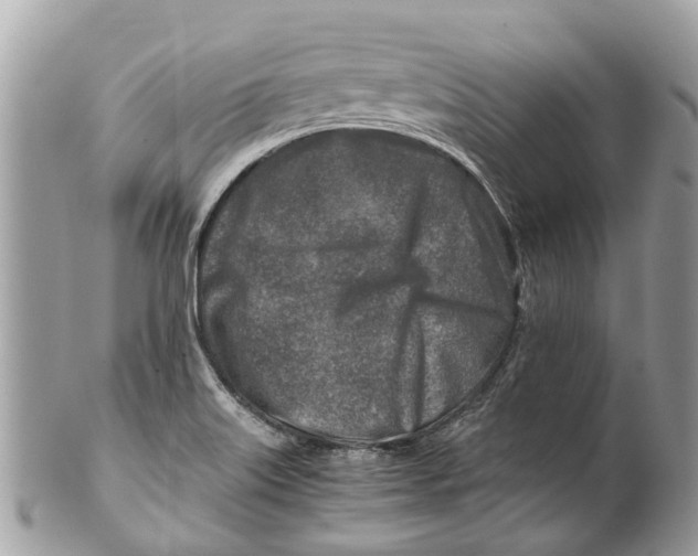 X0000101171515200807251121