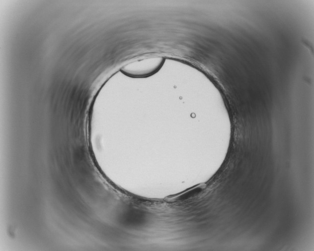 X0000101171516200807251121