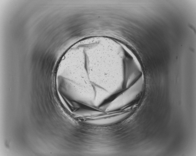 X0000101171517200807251121