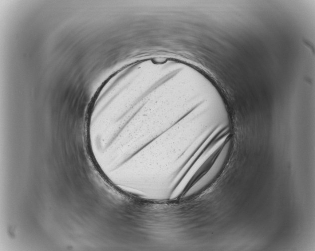 X0000101171518200807251121
