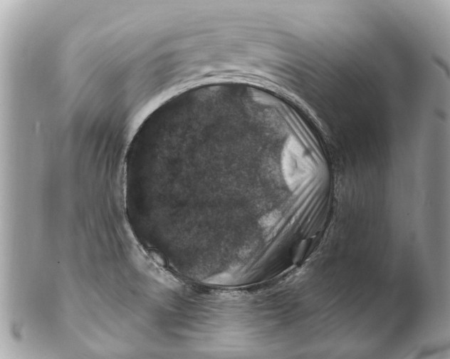 X0000101171522200807251121