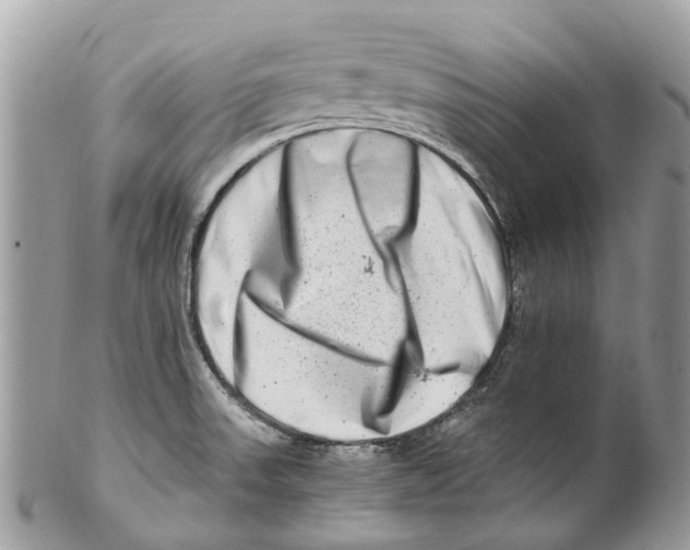 X0000101171523200807251121