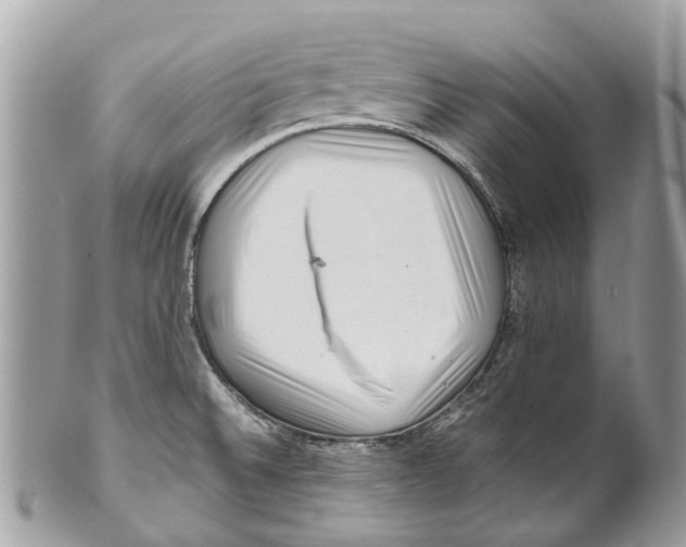 X0000101171524200807251121