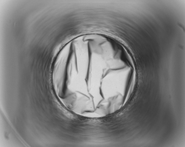 X0000101171525200807251121