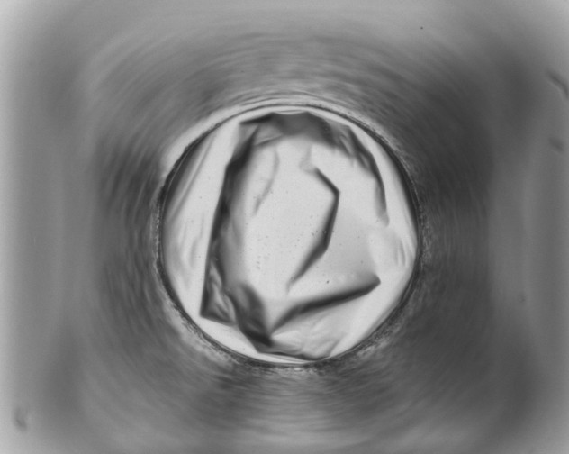 X0000101171526200807251121
