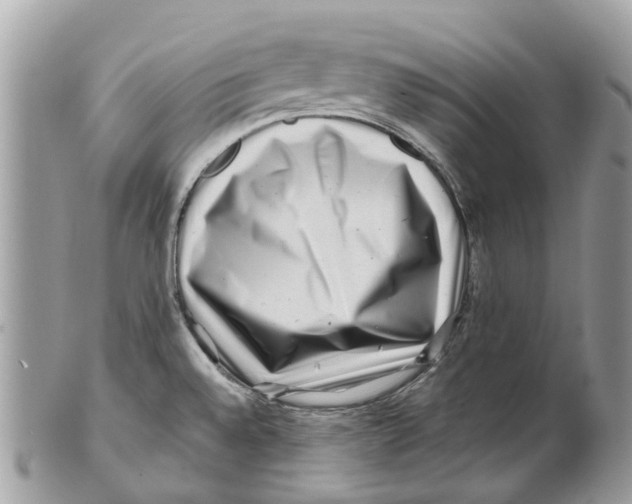 X0000101171528200807251121