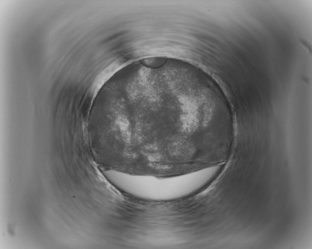 X0000101171529200807251121