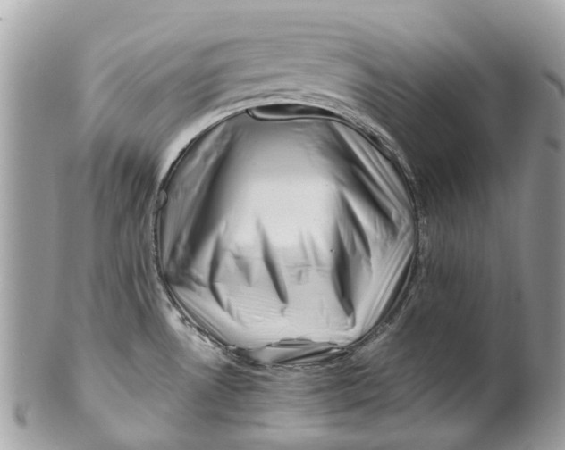 X0000101171530200807251121