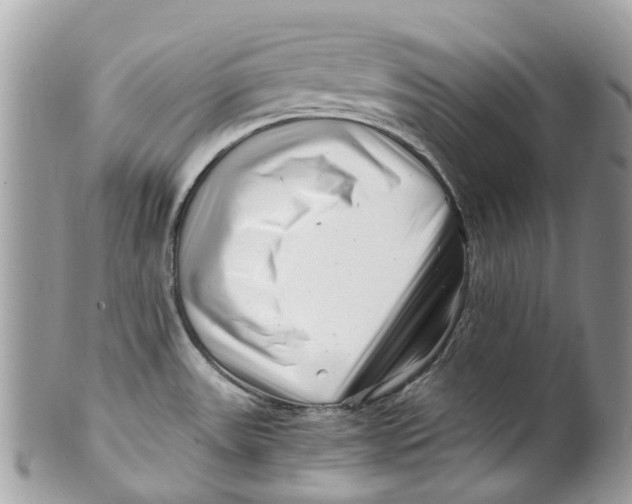 X0000101171531200807251121