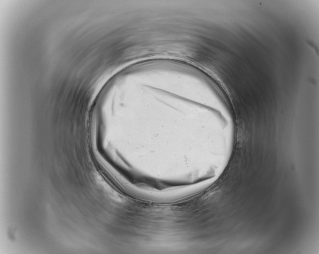 X0000101171532200807251121