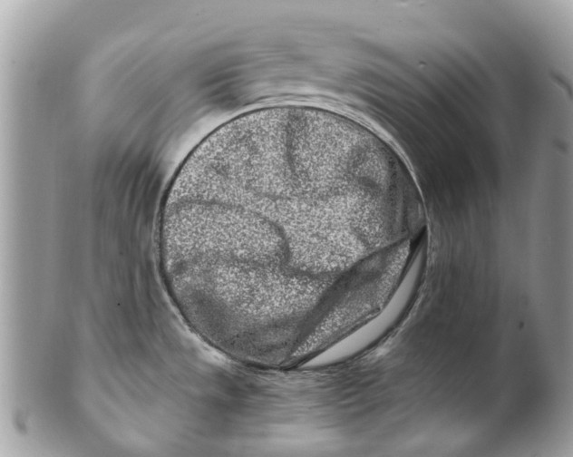 X0000101171533200807251121