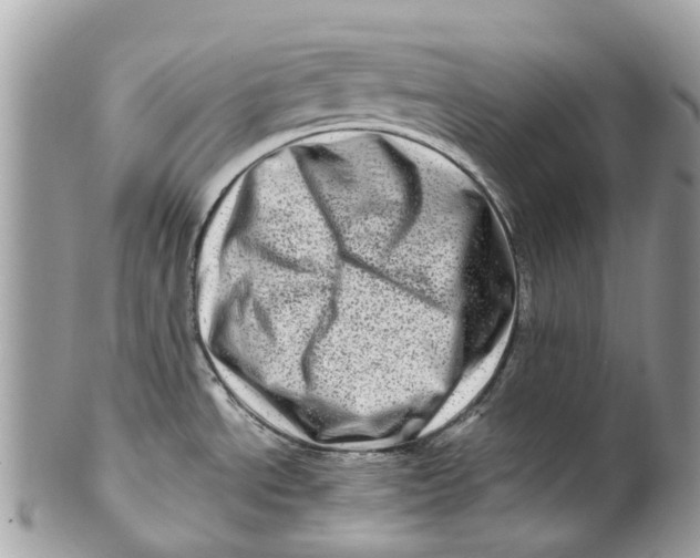 X0000101171534200807251121