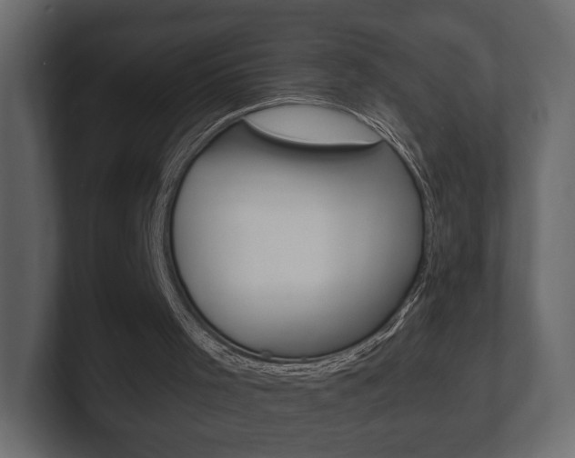 X0000101180001200806270836
