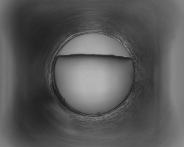 X0000101180002200806270836