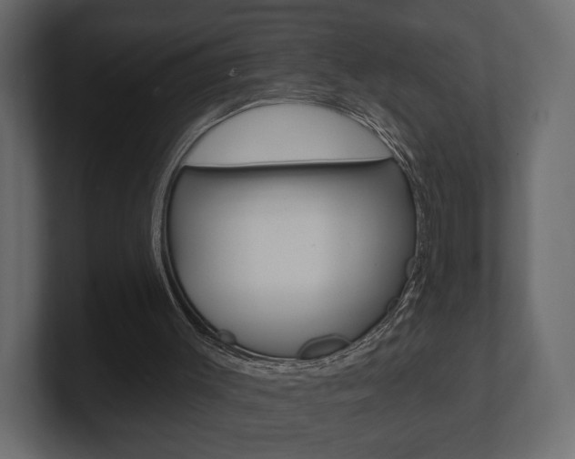 X0000101180003200806270836