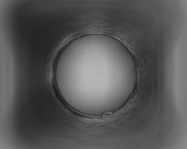 X0000101180005200806270836
