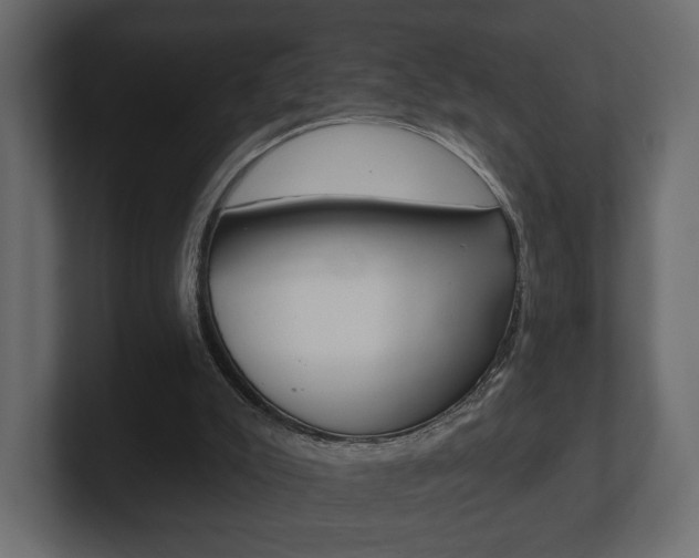 X0000101180007200806270836