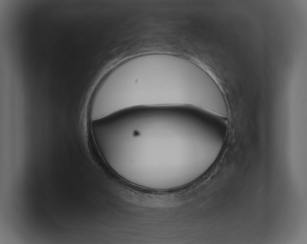 X0000101180008200806270836