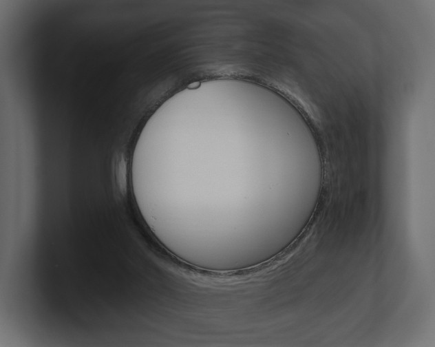 X0000101180014200806270836