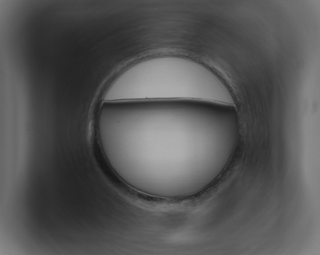 X0000101180016200806270836