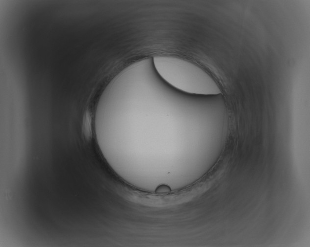 X0000101180022200806270836