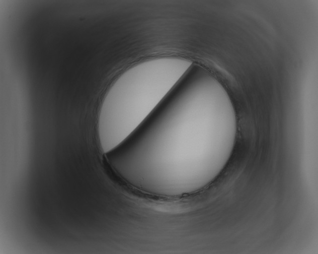 X0000101180024200806270836