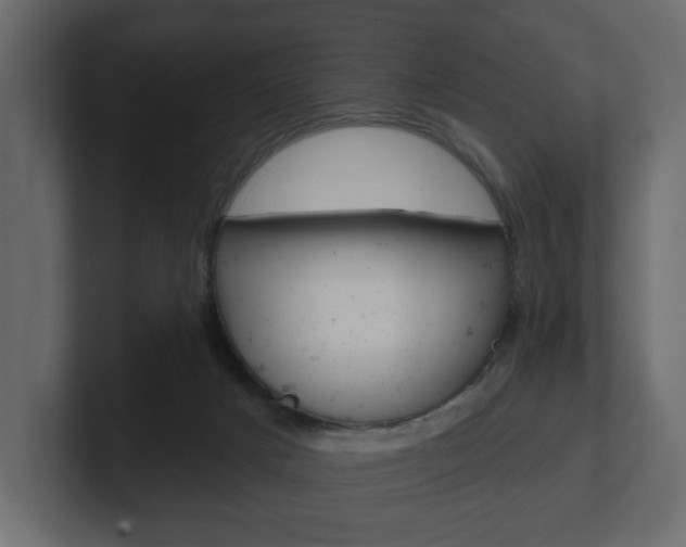 X0000101180025200806270836