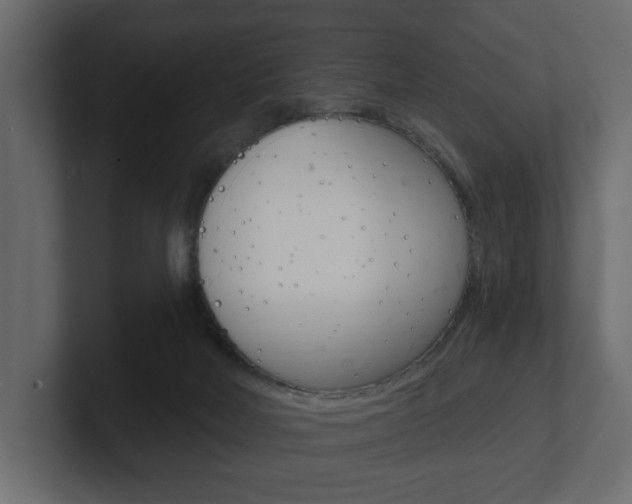 X0000101180026200806270836