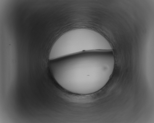 X0000101180036200806270836