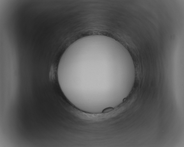 X0000101180038200806270836
