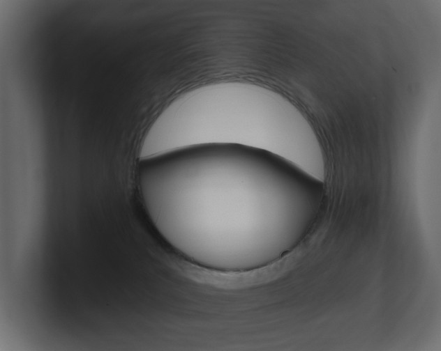X0000101180039200806270836
