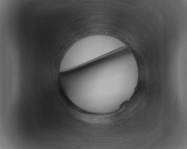 X0000101180040200806270836