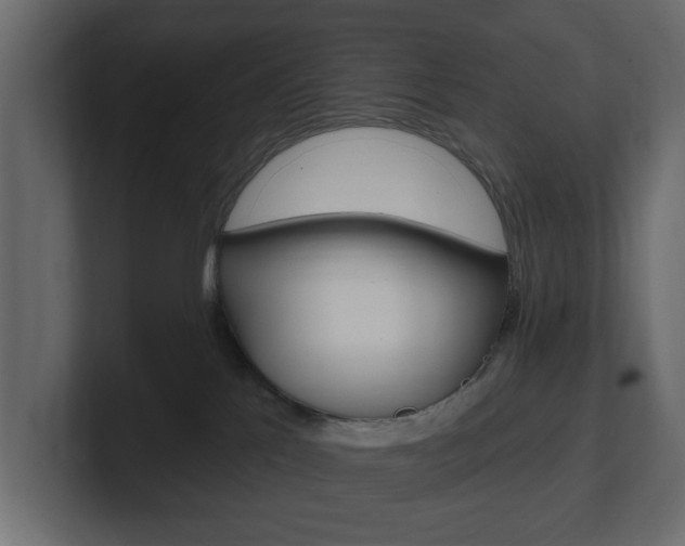 X0000101180041200806270836