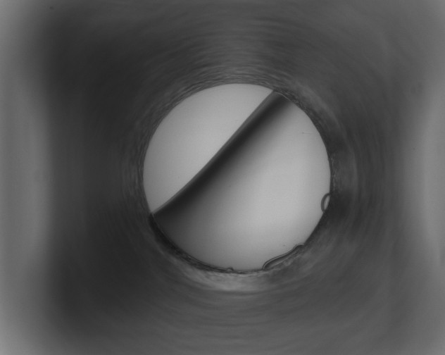 X0000101180044200806270836