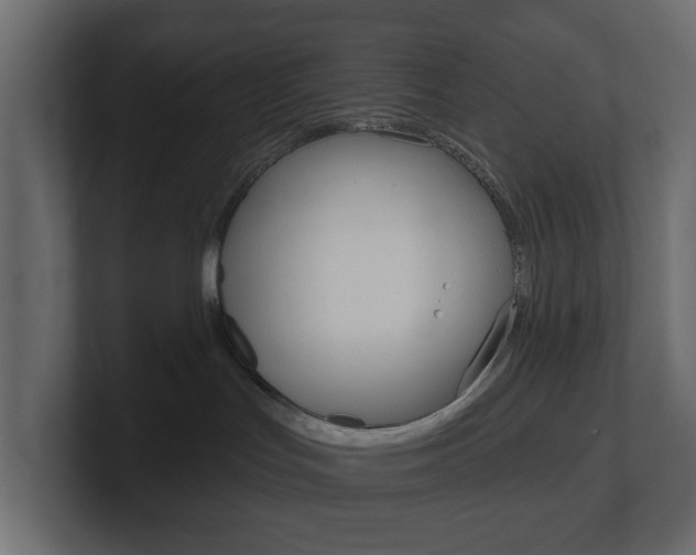 X0000101180047200806270835