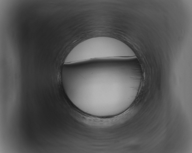 X0000101180048200806270835