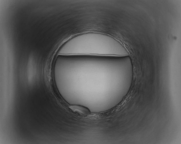 X0000101180050200806270835