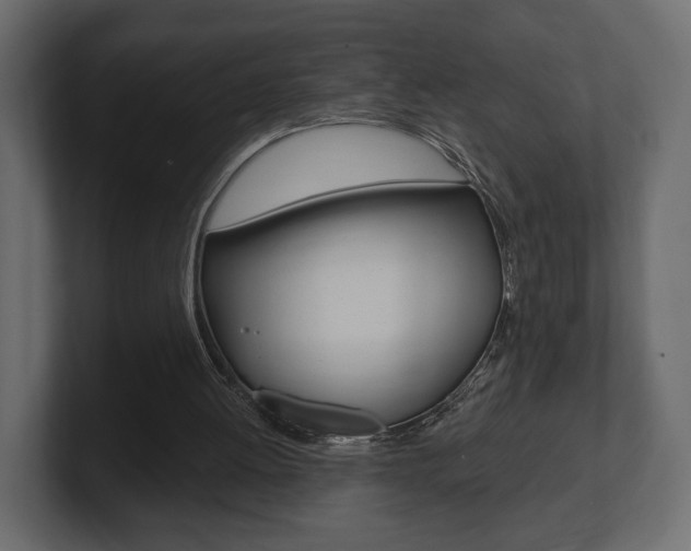 X0000101180052200806270835