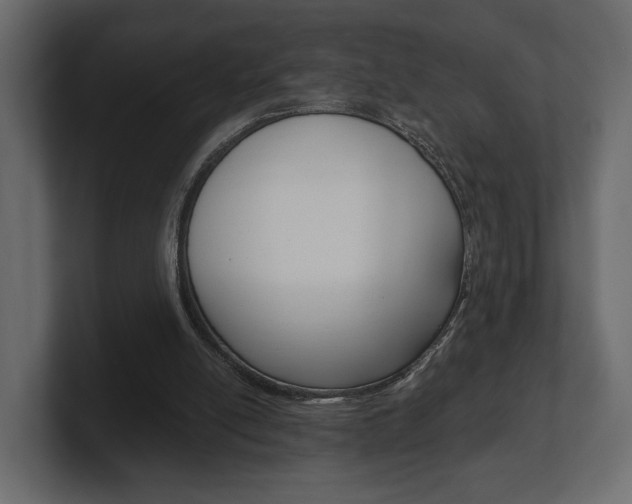 X0000101180054200806270835