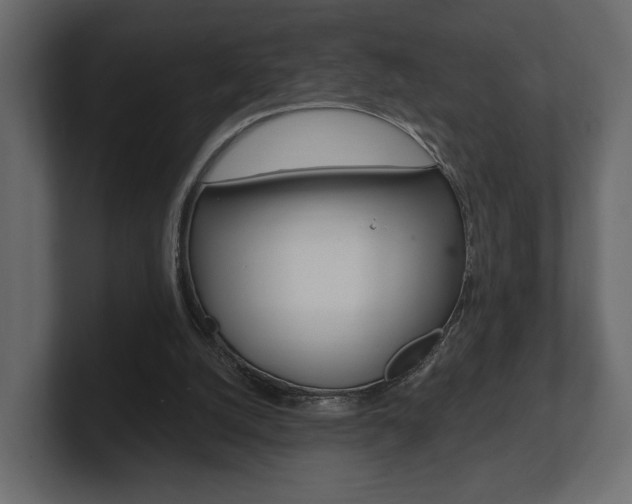 X0000101180056200806270835