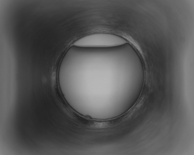 X0000101180057200806270835