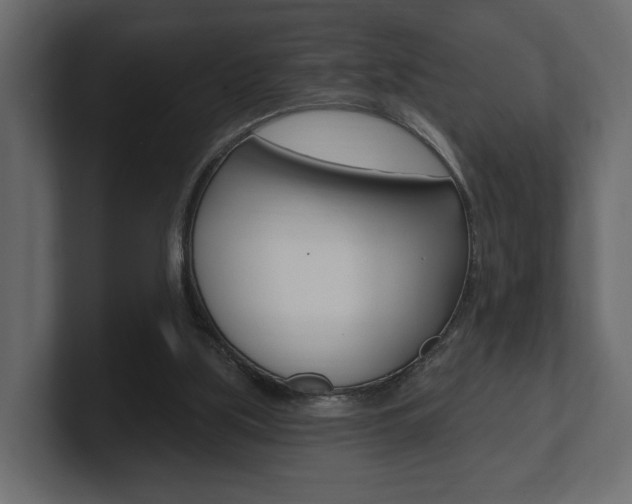 X0000101180059200806270835