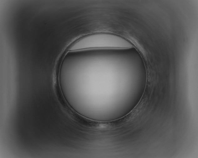 X0000101180060200806270835