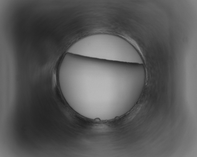 X0000101180061200806270835