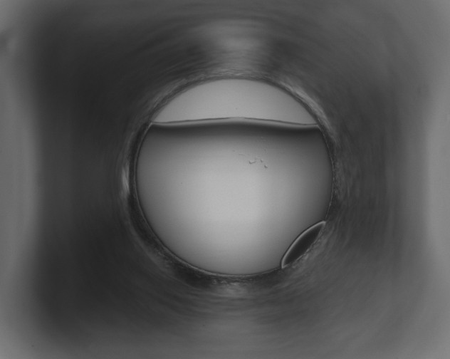 X0000101180062200806270835