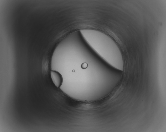 X0000101180071200806270835