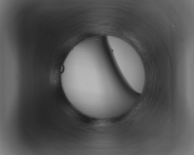 X0000101180077200806270835